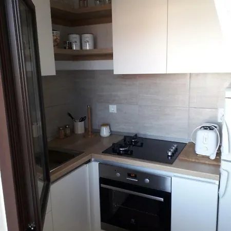 Apartment Branko